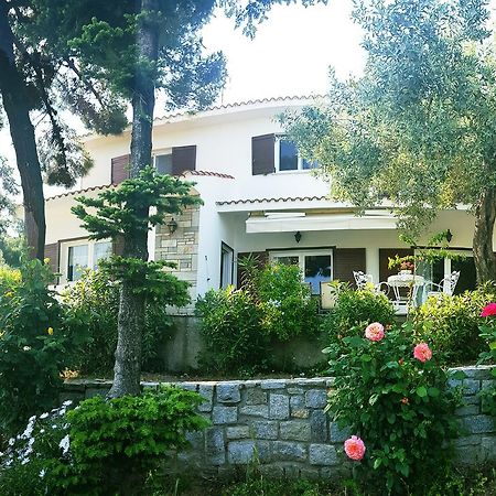 Villa Eleonas Nea Iraklitsa 외부 사진